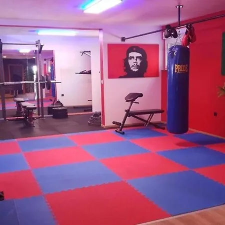 Villa Filip - Private Pool & Gym